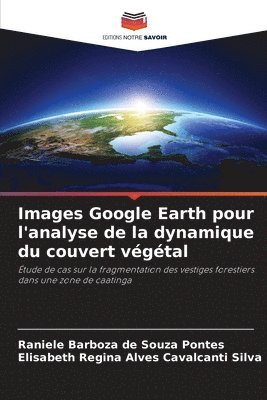 Raniele Barboza de Souza Pontes, Elisabeth Regina Alves Cavalcanti Silva - Images Google Earth pour l'analyse de la dynamique du couvert végétal, Häftad