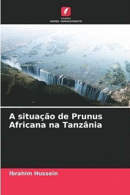 bokomslag A situao de Prunus Africana na Tanznia