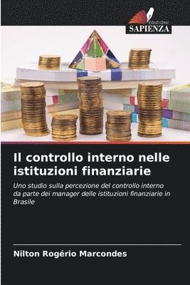 bokomslag controllo interno nelle istituzioni finanziarie