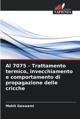 bokomslag Al 7075 - Trattamento termico, invecchiamento e comportamento di propagazione delle cricche