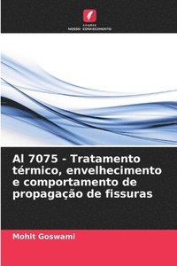 bokomslag Al 7075 - Tratamento trmico, envelhecimento e comportamento de propagao de fissuras