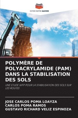 José Carlos Poma Loayza, Carlos Poma Ramos, Gustavo Richard Veliz Espinoza - Polymère de Polyacrylamide (Pam) Dans La Stabilisation Des Sols, Häftad