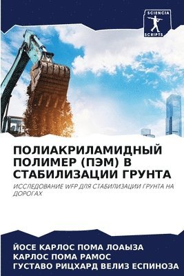 ЙОСЕ KАРЛ ПОМА ЛОАЫЗА, KАРЛОС ПОМА РАМОС, ГУСТА ВЕЛИЗ ЕСПИНОЗА, &#1055;&#1054;&#1052;&#1040; &#1051;&#10, &#1055;&#1054;&#1052;&#1040; &#1056;&#10, ¿¿¿¿ K¿¿¿ ¿¿¿¿ ¿¿¿¿¿¿, K¿¿¿¿¿ ¿¿¿¿ ¿¿¿¿¿, Jose Karlos Poma Loayza, Karlos Poma Ramos, Gustavo Richard Veliz Espinoza - ПОЛИАКРИЛАМИДНЫЙ ПОЛИМЕР (ПЭМ) В СТАБИЛИЗ&#104, Häftad