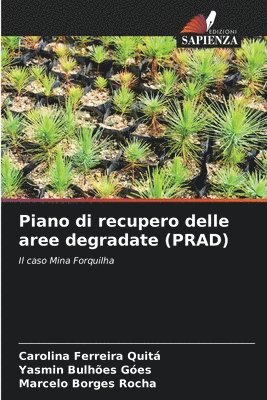 bokomslag Piano di recupero delle aree degradate (PRAD)