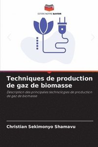 bokomslag Techniques de production de gaz de biomasse