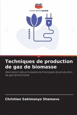 Techniques de production de gaz de biomasse 1