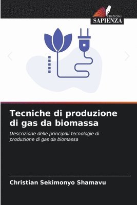 bokomslag Tecniche di produzione di gas da biomassa