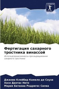 bokomslag &#1060;&#1077;&#1088;&#1090;&#1080;&#1075;&#1072;&#1094;&#1080;&#1103; &#1089;&#1072;&#1093;&#1072;&#1088;&#1085;&#1086;&#1075;&#1086; &#1090;&#1088;&#1086;&#1089;&#1090;&#1085;&#1080;&#1082;&#1072;