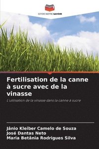 bokomslag Fertilisation de la canne  sucre avec de la vinasse