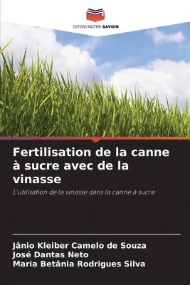 bokomslag Fertilisation de la canne  sucre avec de la vinasse