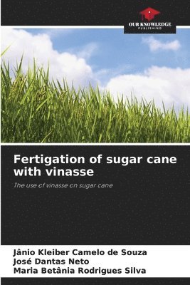 Fertigation of sugar cane with vinasse 1