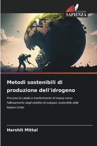 bokomslag Metodi sostenibili di produzione dell'idrogeno