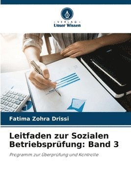 bokomslag Leitfaden zur Sozialen Betriebsprfung