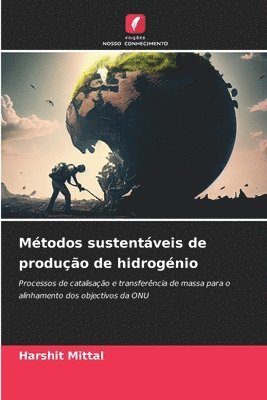 Harshit Mittal - Métodos sustentáveis de produção de hidrogénio, Häftad