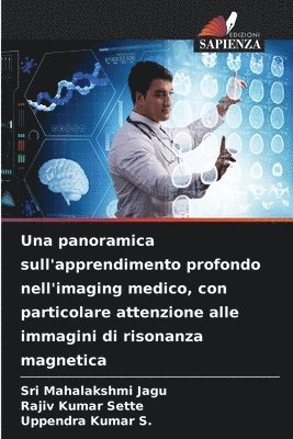 bokomslag Una panoramica sull'apprendimento profondo nell'imaging medico, con particolare attenzione alle immagini di risonanza magnetica