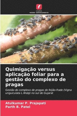 Quimigação versus aplicação foliar para a gestão do complexo de pragas