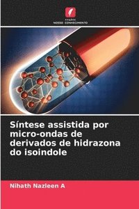 bokomslag Sntese assistida por micro-ondas de derivados de hidrazona do isoindole