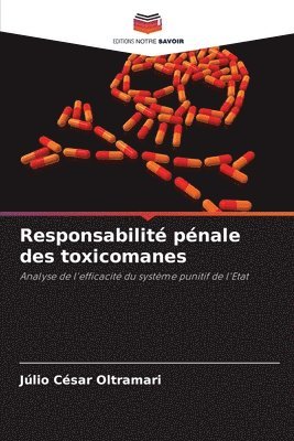 bokomslag Responsabilité pénale des toxicomanes