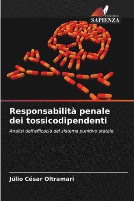 bokomslag Responsabilità penale dei tossicodipendenti