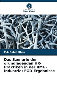 bokomslag Das Szenario der grundlegenden HR-Praktiken in der RMG-Industrie