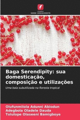 Baga Serendipity 1