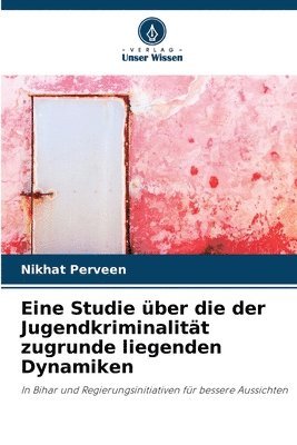 bokomslag Eine Studie ber die der Jugendkriminalitt zugrunde liegenden Dynamiken