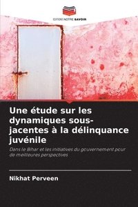 bokomslag Une tude sur les dynamiques sous-jacentes  la dlinquance juvnile