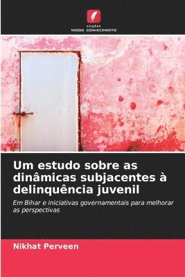Um estudo sobre as dinâmicas subjacentes à delinquência juvenil