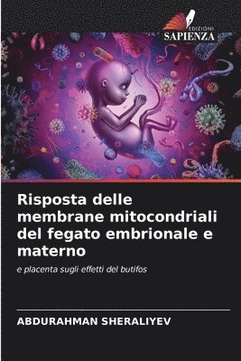 bokomslag Risposta delle membrane mitocondriali del fegato embrionale e materno