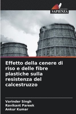 Varinder Singh, Ravikant Pareek, Ankur Kumar - Effetto della cenere di riso e delle fibre plastiche sulla resistenza del calcestruzzo, Häftad