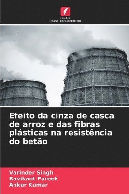 Varinder Singh, Ravikant Pareek, Ankur Kumar - Efeito da cinza de casca de arroz e das fibras plásticas na resistência do betão, Häftad
