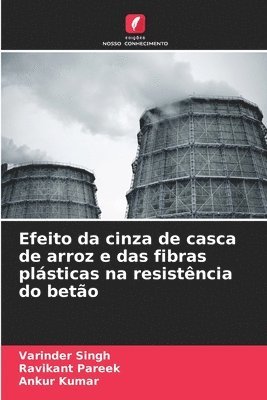 bokomslag Efeito da cinza de casca de arroz e das fibras plsticas na resistncia do beto