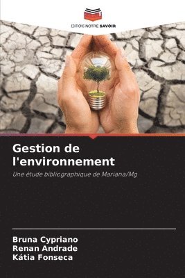 bokomslag Gestion de l'environnement