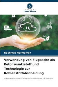 bokomslag Verwendung von Flugasche als Betonzusatzstoff und Technologie zur Kohlenstoffabscheidung