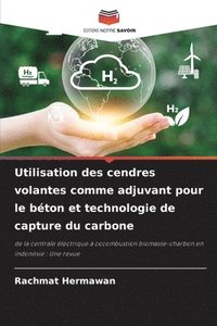 bokomslag Utilisation des cendres volantes comme adjuvant pour le bton et technologie de capture du carbone