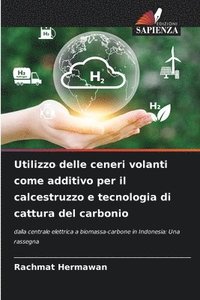 bokomslag Utilizzo delle ceneri volanti come additivo per il calcestruzzo e tecnologia di cattura del carbonio