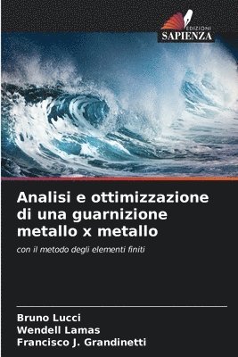 Analisi e ottimizzazione di una guarnizione metallo x metallo 1