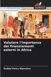 bokomslag Valutare l'importanza dei finanziamenti esterni in Africa