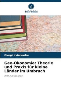 bokomslag Geo-konomie