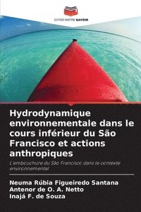 bokomslag Hydrodynamique environnementale dans le cours infrieur du So Francisco et actions anthropiques