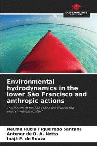 bokomslag Environmental hydrodynamics in the lower So Francisco and anthropic actions