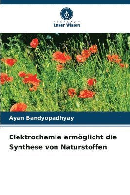 Ayan Bandyopadhyay - Elektrochemie ermöglicht die Synthese von Naturstoffen, Häftad