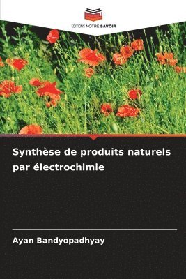 bokomslag Synthse de produits naturels par lectrochimie