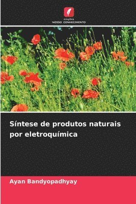 bokomslag Síntese de produtos naturais por eletroquímica
