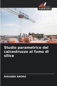 bokomslag Studio parametrico del calcestruzzo al fumo di silice