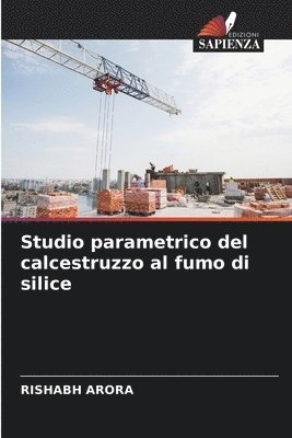 Rishabh Arora, RISHABH ARORA - Studio parametrico del calcestruzzo al fumo di silice, Häftad