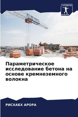 РИСХАБХ АРОРА, &#1 &#1040;&#1056;&#1054;&#1056;&#1040;, ¿¿¿¿¿¿¿ ¿¿¿¿¿ - Параметрическое исследование бетона на о, Häftad