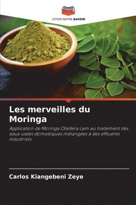 bokomslag Les merveilles du Moringa