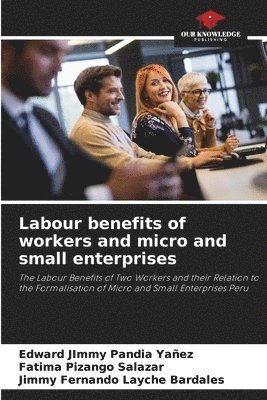 bokomslag Labour benefits of workers and micro and small enterprises