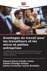 bokomslag Avantages du travail pour les travailleurs et les micro et petites entreprises